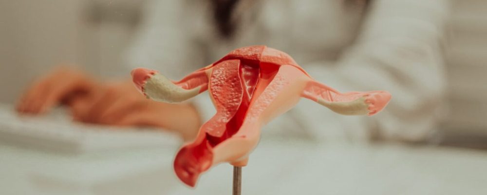 Dra. Laís em seu consultório explicando as indicações de histerectomia e seus impactos na saúde.