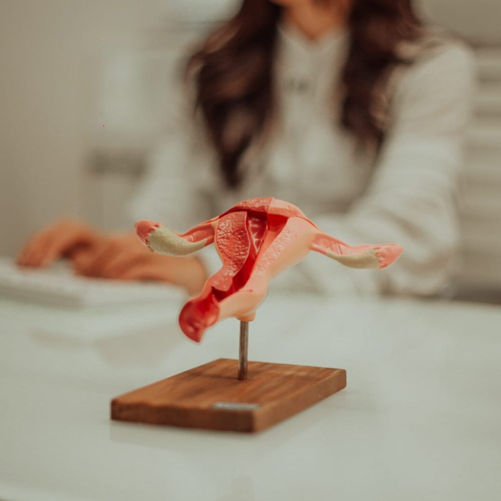 Dra. Laís em seu consultório explicando as indicações de histerectomia e seus impactos na saúde.